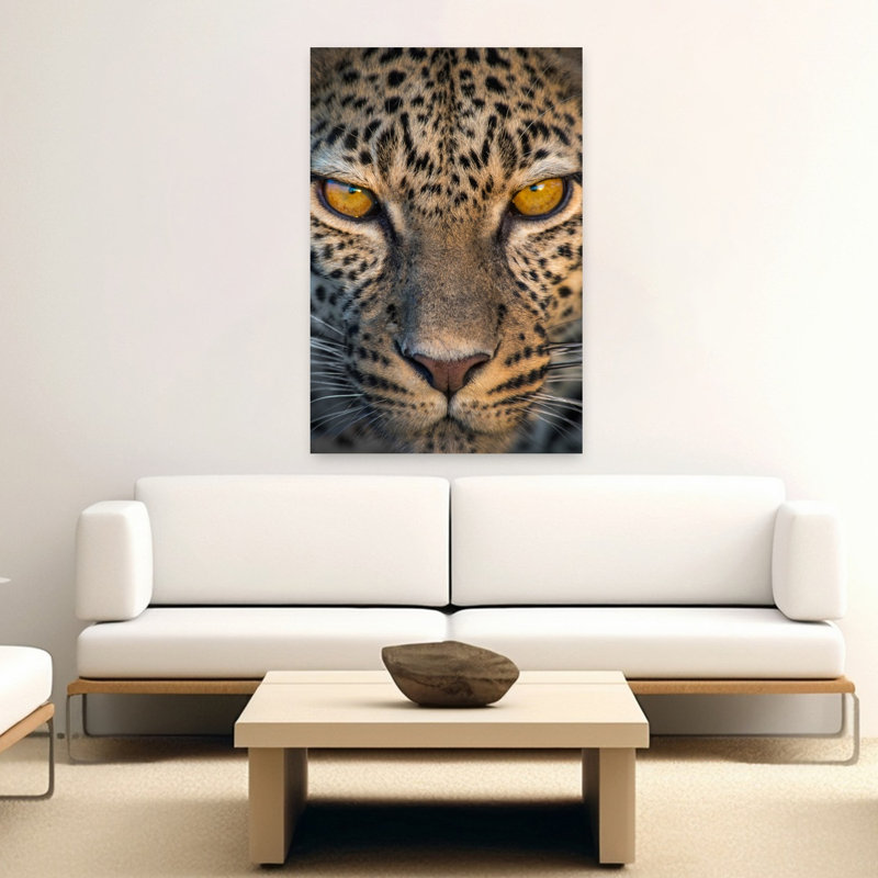 Léopard Panthera Pardus, H 60 po x l 40 po