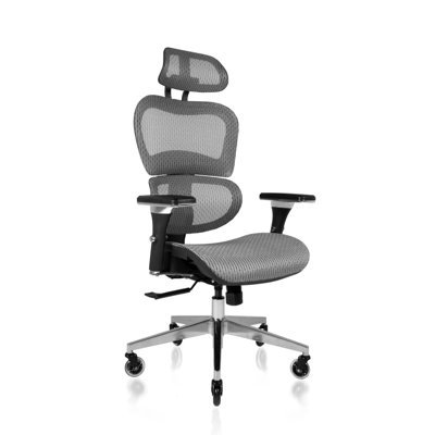 Chaise de bureau ergonomique Nouhaus Ergo3D