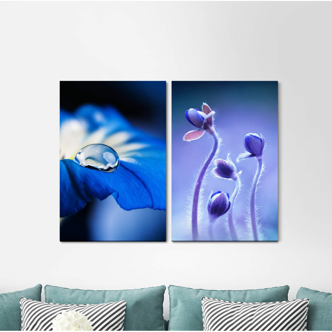 2-tlg. Leinwandbilder-Set - Fotografie „Blue Flowers Drops Blossom”