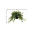 Jenner Faux Ivy Plant in Glass Vase-1469718575