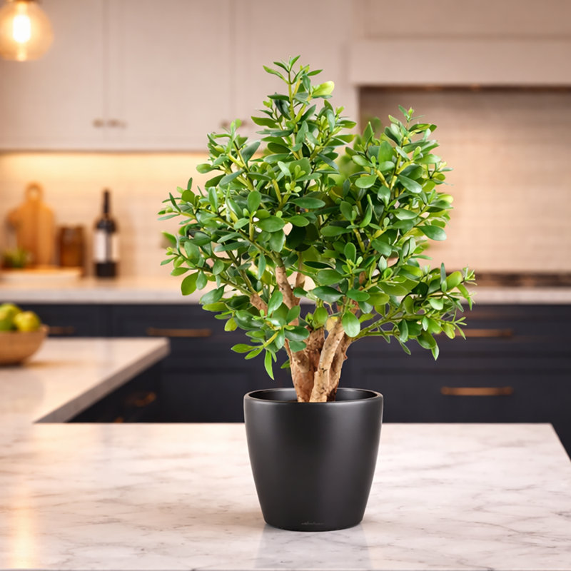 Anneloes 70 cm H Faux Yucca Tree Plant in Plastic Pot Liner