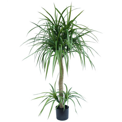 Annistyn Faux Dracaena Tree in Pot