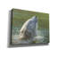 Art mural sur toile, "Ours polaire" par David Stribble par Millwood Pines-1423845187