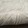 Ilijan Abstract Area Rug in Gray