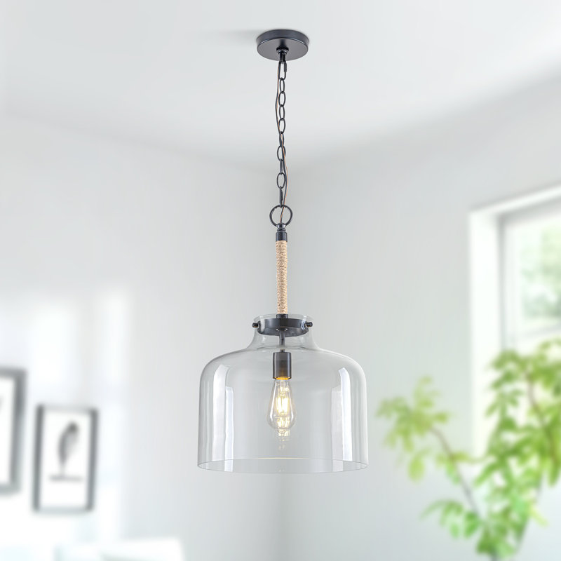 Luminaire suspendu en verre transparent 1 lumière avec corde Barbour, Noir mat