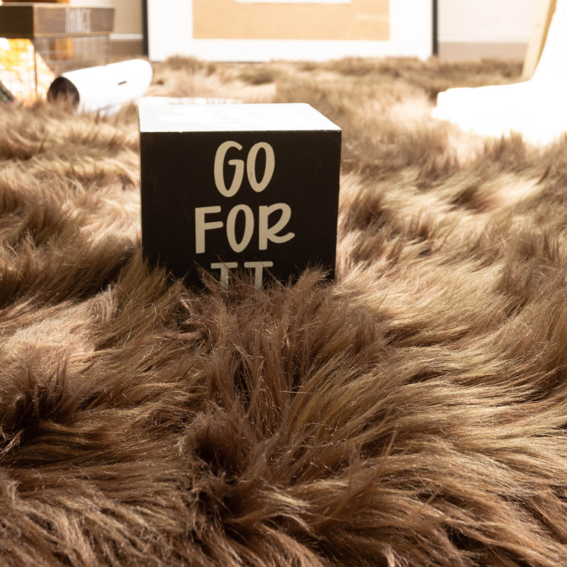 Diller Dark Brown Faux Fur Machine Washable Shag Fluffy Area Rug, Novelty 2' x 4'