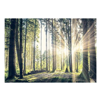 Murale Faraja Forest Walk