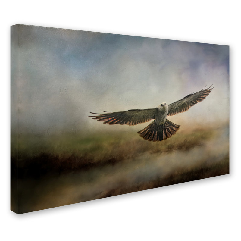 «Mississippi Kite in the Marsh» de Vidur, impression sur toile tendue, 16 po x 24 po