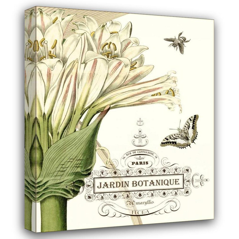 Art sur toile tendue Red Barrel Studio® Vision Studio Gallery: Jardin Botanique II, H 24 po x l 20 po