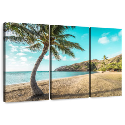 Gillard Honolulu Beach Palmiers