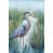 Natural Single Picture Framed is unavailable