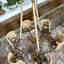 Photos des clients 1 de 6