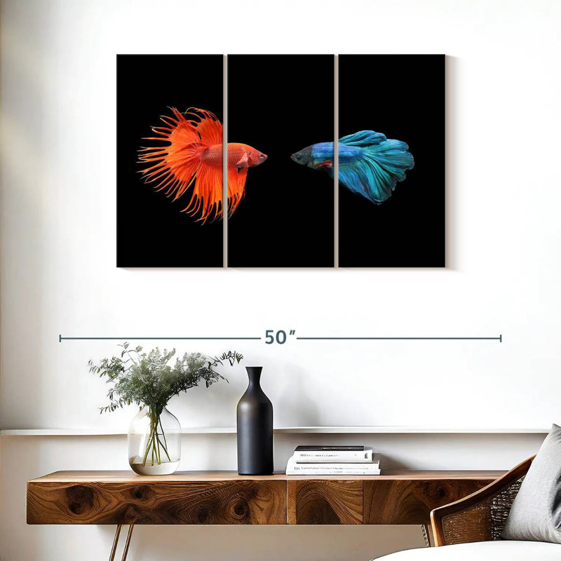Brampt Betta Fish Meet, 24" H x 38" W