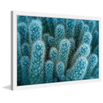 Single Picture Frame Print