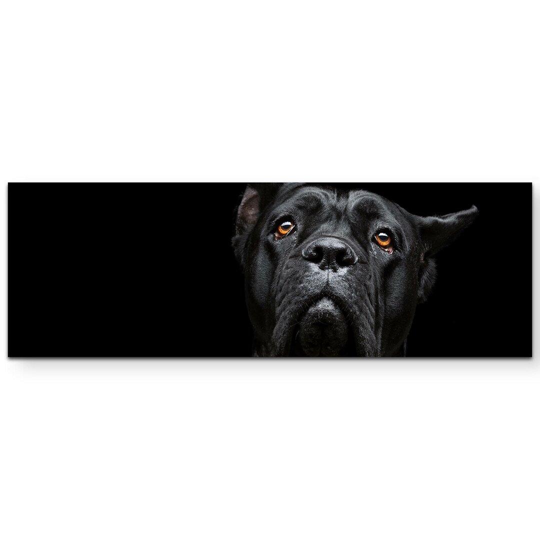 Leinwandbild Cane Corso Portrait