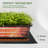 20 in. x 20 in. Waterproof Seedling Heat Mat