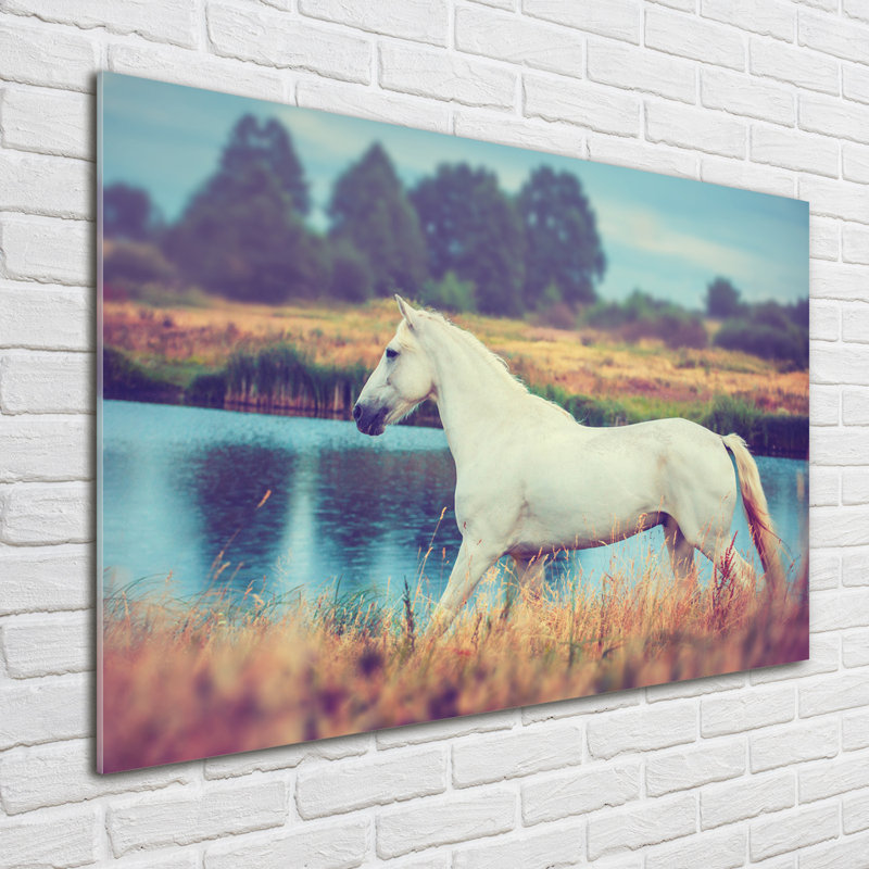 White Horse By The Lake - No Frame Print on Glass