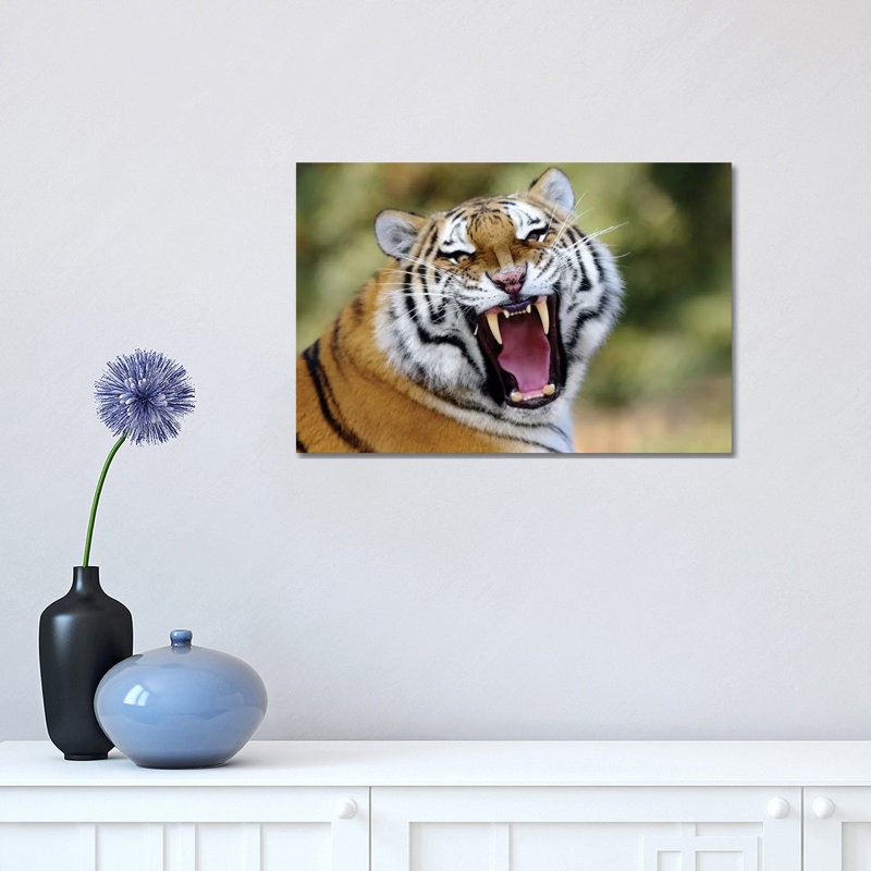 Tiger Roar by Goran Anastasovski - Wrapped Canvas Print, 30.48 cm H x 45.72 cm W