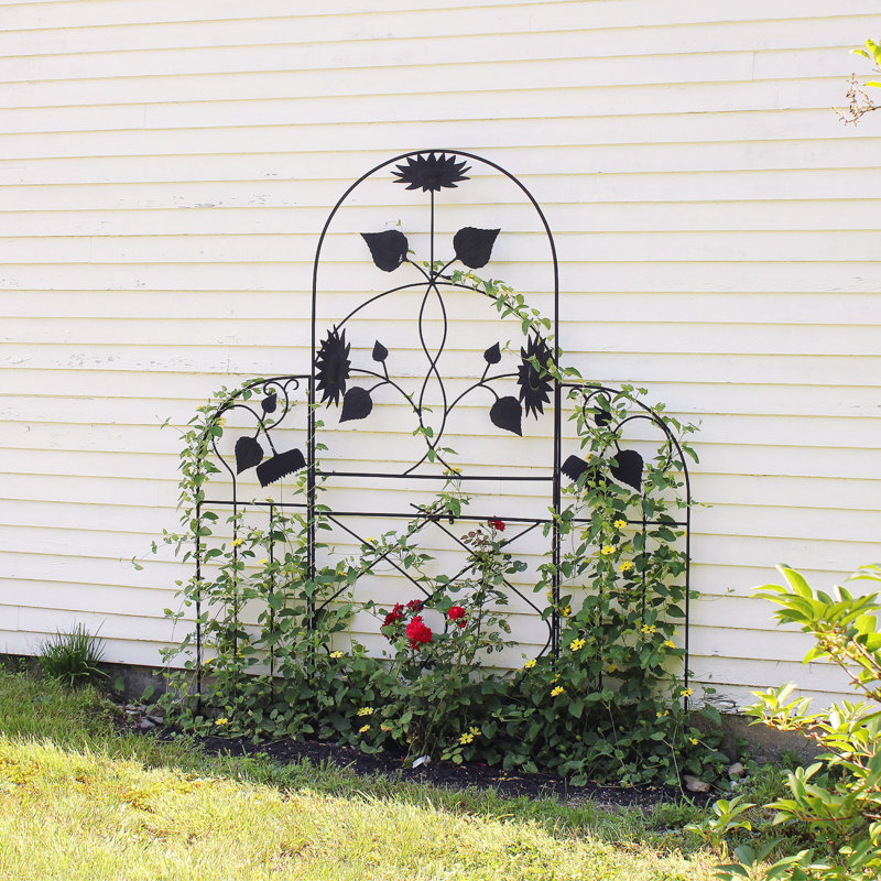Coker 90'' H x 36'' W Iron Arched Trellis