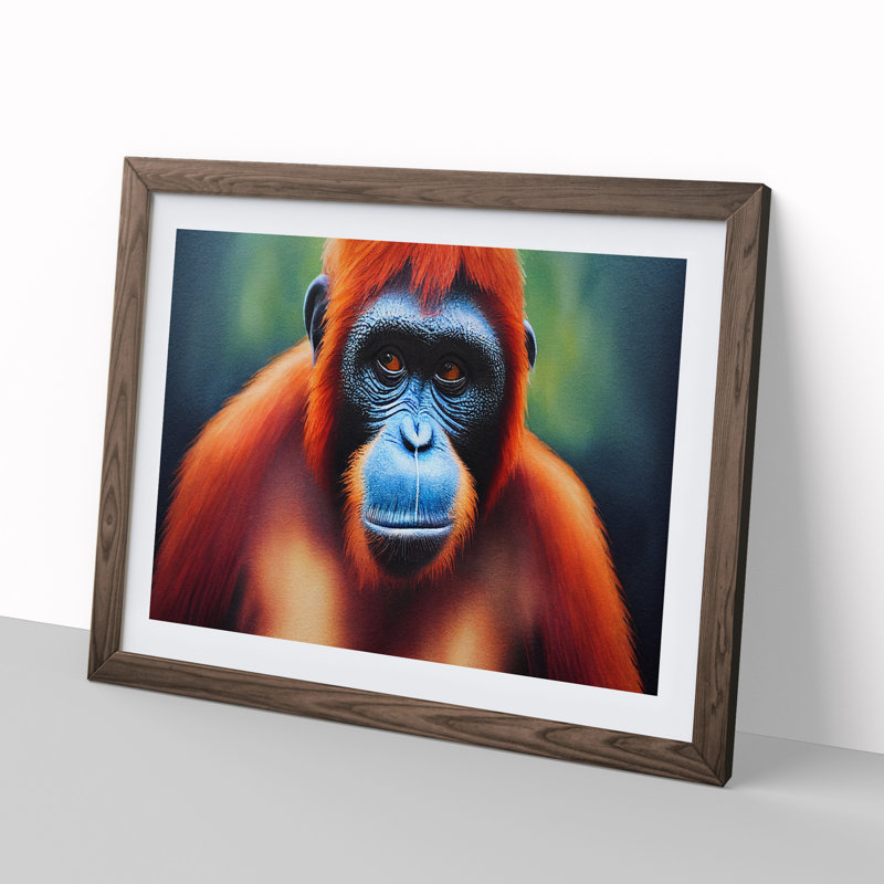 XH1022-6475X Orangutan Portrait Vol.4 - Single Picture Frame Print, 25cm H x 34cm W x 2cm D, Walnut