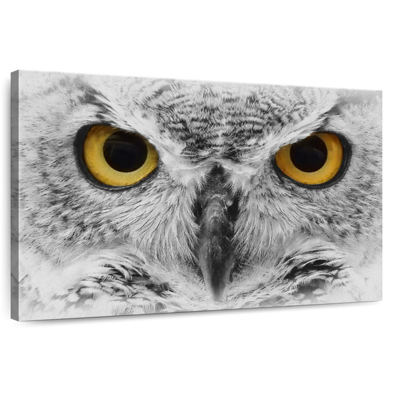 Staring Eagle Owl, 34" H x 51" W