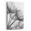 «Goatsbeard II» par Lori Deiter - photographie non encadrée-231093600