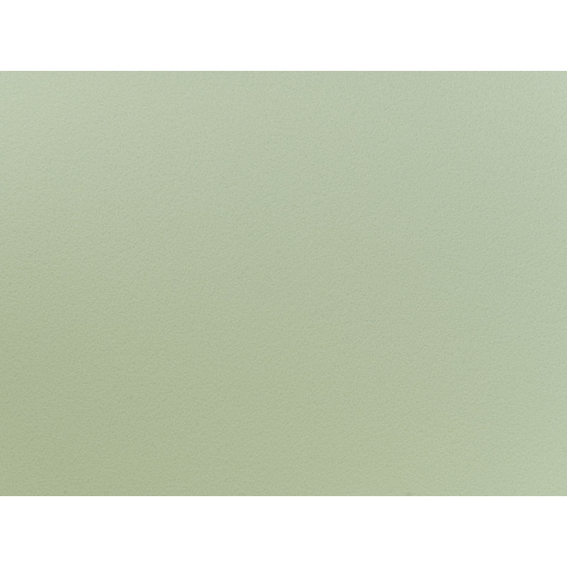 Fonda II Dining Chair, Light Green