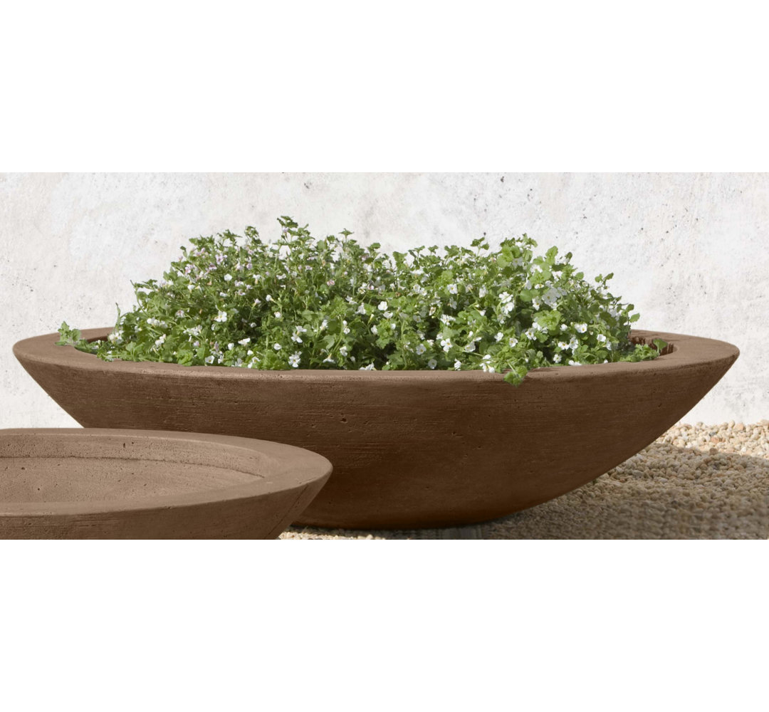 Low Zen Bowl Pot Planter Latitude Run® 