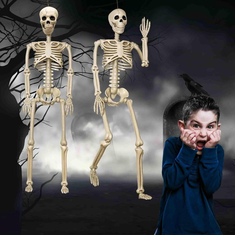 Ensemble de 2 squelettes d'Halloween de 36 po - Squelette humain vivant avec articulations articulées en plastique Squelette en plastique pour Halloween Squelettes de jardin