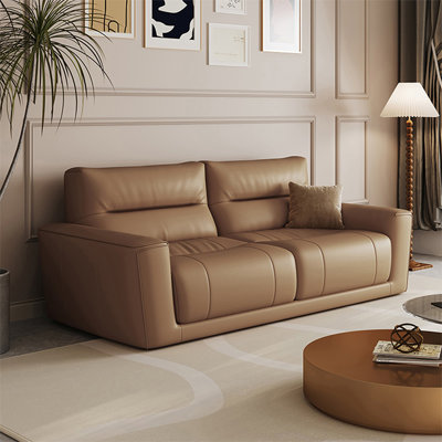 Coffee Genuine Leather Standard Sofa cushion Loveseat