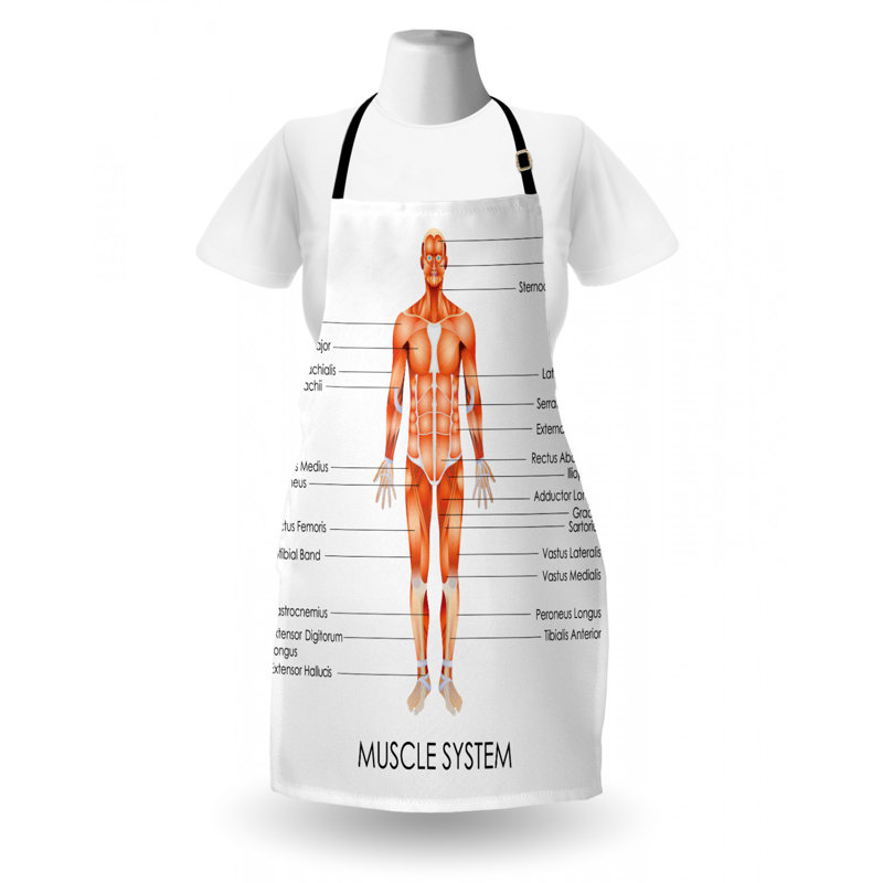 Bib Apron