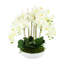 Orchid Arrangement in Round Fiberstone Pot-1233830116