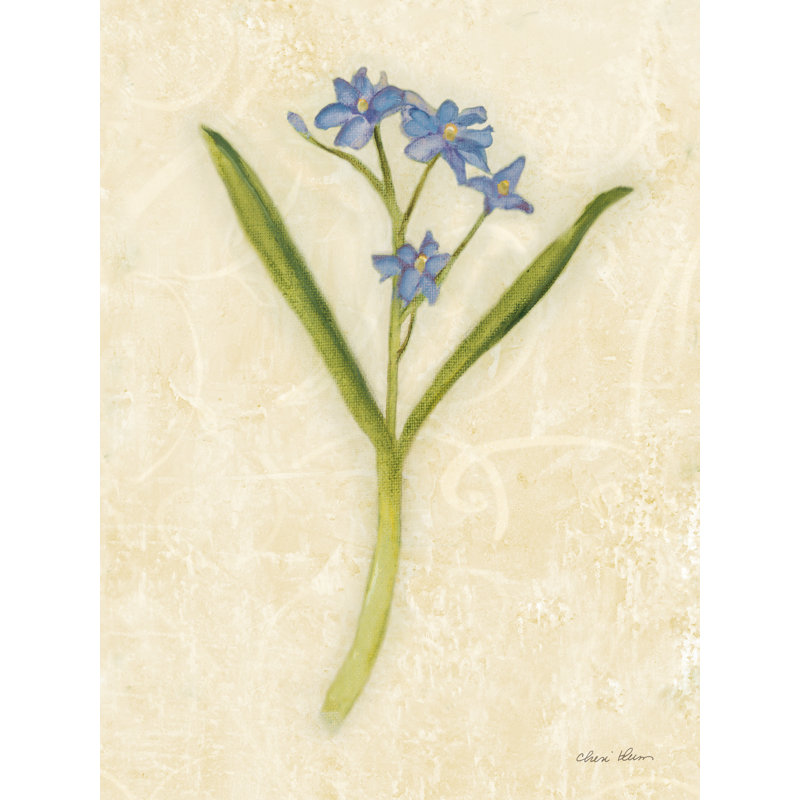 «Forget Me Not Stem On Canvas» par Cheri Blum, reproduction, H 16 po x l 12 po