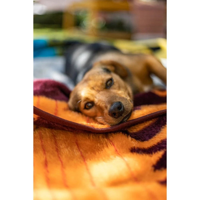 Breckenridge Pet Bed