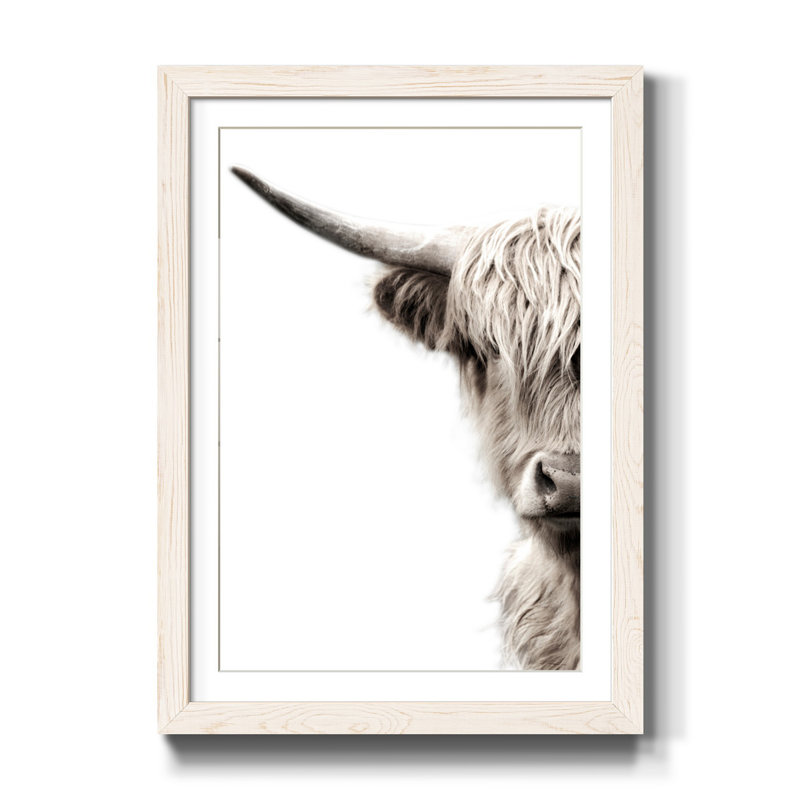 Bétail des Highlands - reproduction de photo, Papier encadré blanc, H 44 po x l 31 po x P 1 po, Blanc