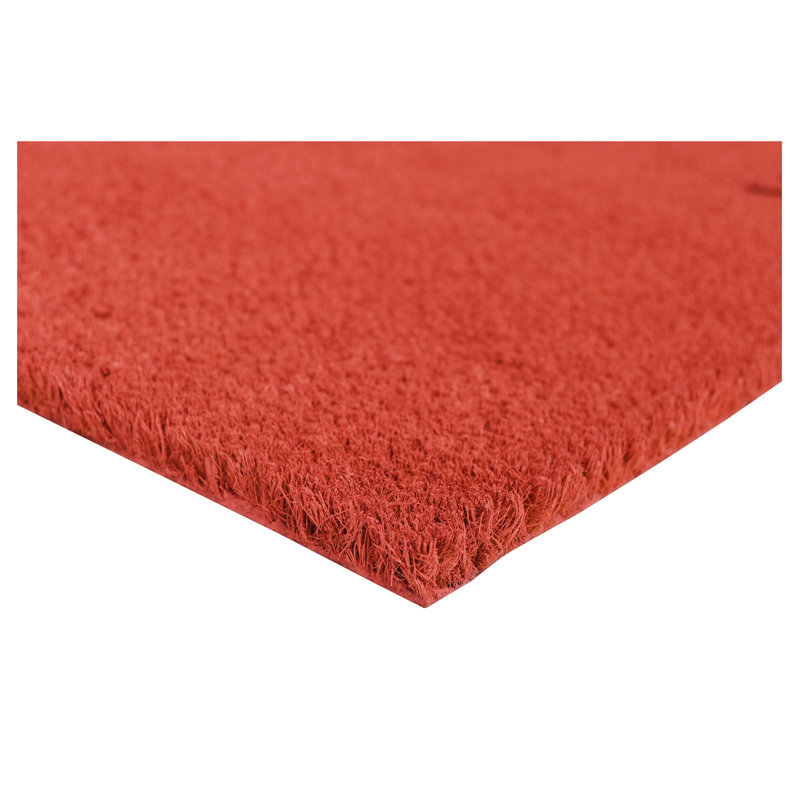 Kasper Non-Slip Doormat, 24" W x 36" L, Pink