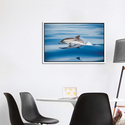 Striped Dolphin by Mirko Ugo - Print on Canvas
