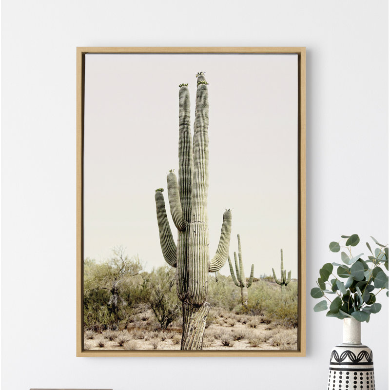 «Sunrise Cactus» par Amy Peterson, reproduction d'art sur toile encadrée, H 23 po x l 33 po, Naturel