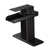 Oil Rubbed Bronze