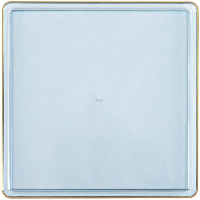 Disposable Dinner Plate, 1