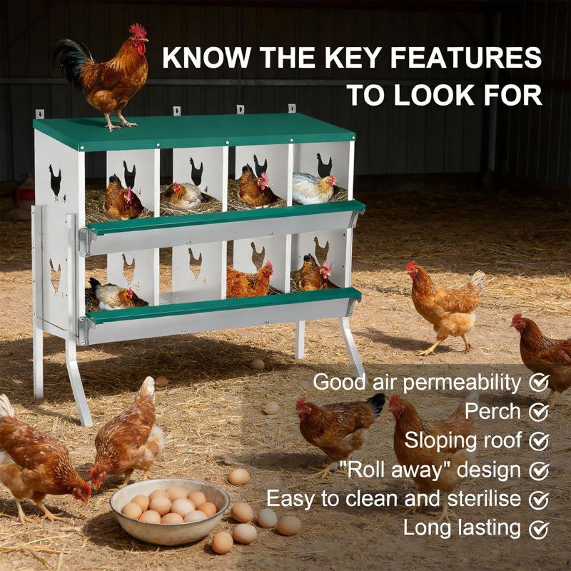 Boîte de nidification de poulet en acier galvanisé à 8 compartiments, grande boîte de nid de poule avec faux œufs et nichoirs souples, fixation murale autoportante pour poulailler