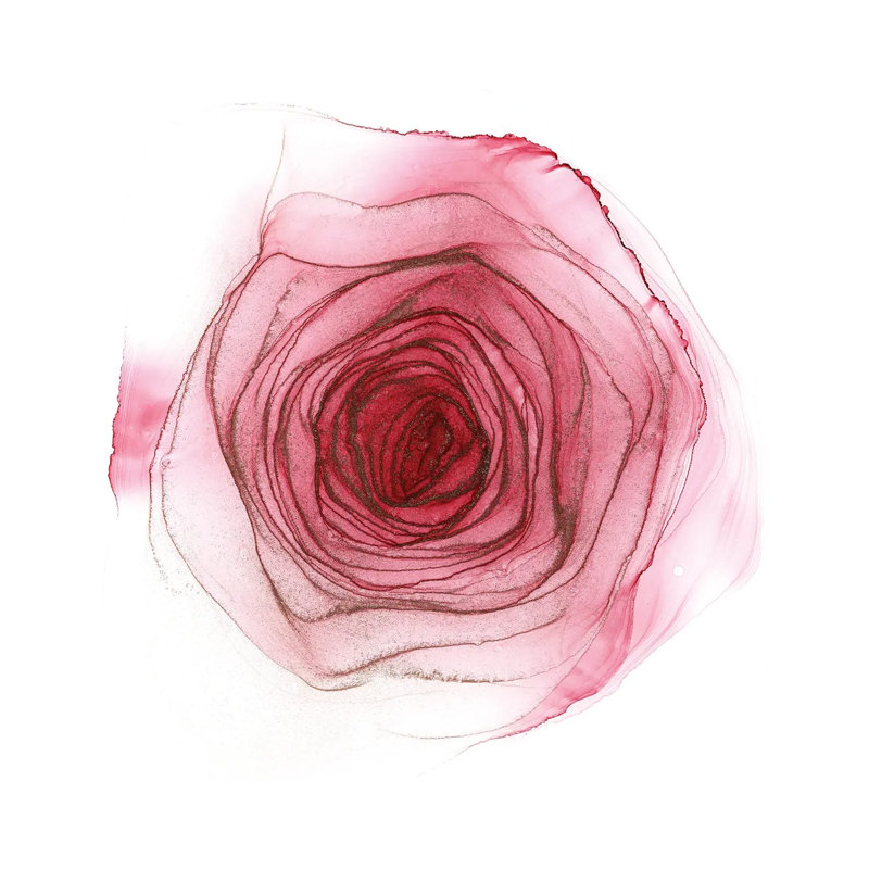Pink Rose - Wrapped Canvas Art Prints - Wrapped Canvas Gallery-Wrapped Canvas Giclée, 30.48cm H x 30.48cm W
