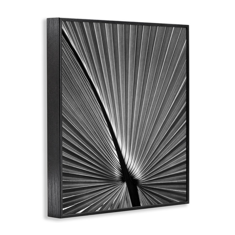 «Palm Frond», art par Chip Forelli bg-127, H 14 po x l 11 po, Giclée encadrée noir minuit