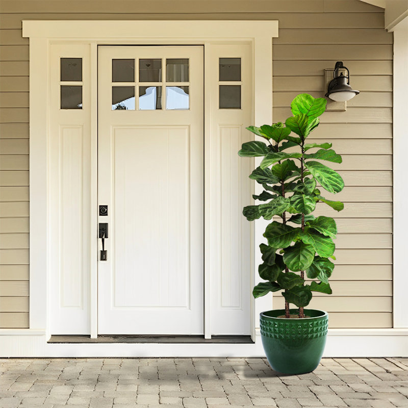 Ensemble de 3 pots de fleurs en céramique, jardinière moderne pour patio, jardin, Vert antique
