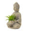 Ensemble 2 pièces bouddhas assis avec mini-plantes grasses