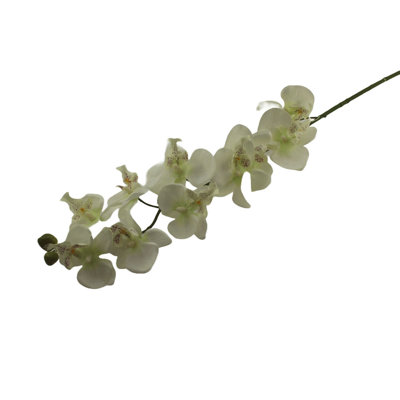 Arrangement