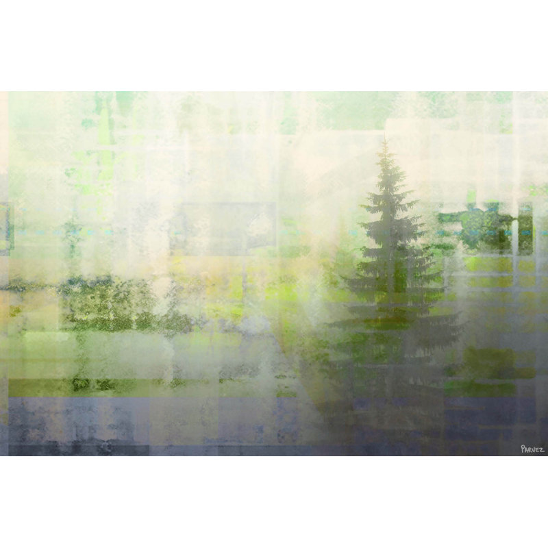 Parvez Taj - Wrapped Canvas Print, 76cm H x 114cm W