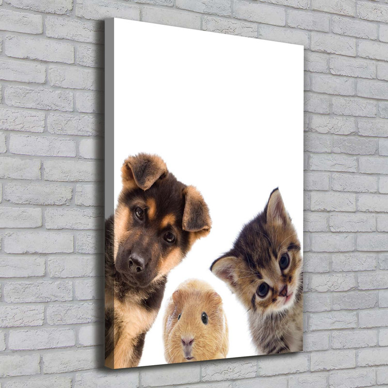 Pets - Wrapped Canvas Print