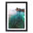 Black Framed selected