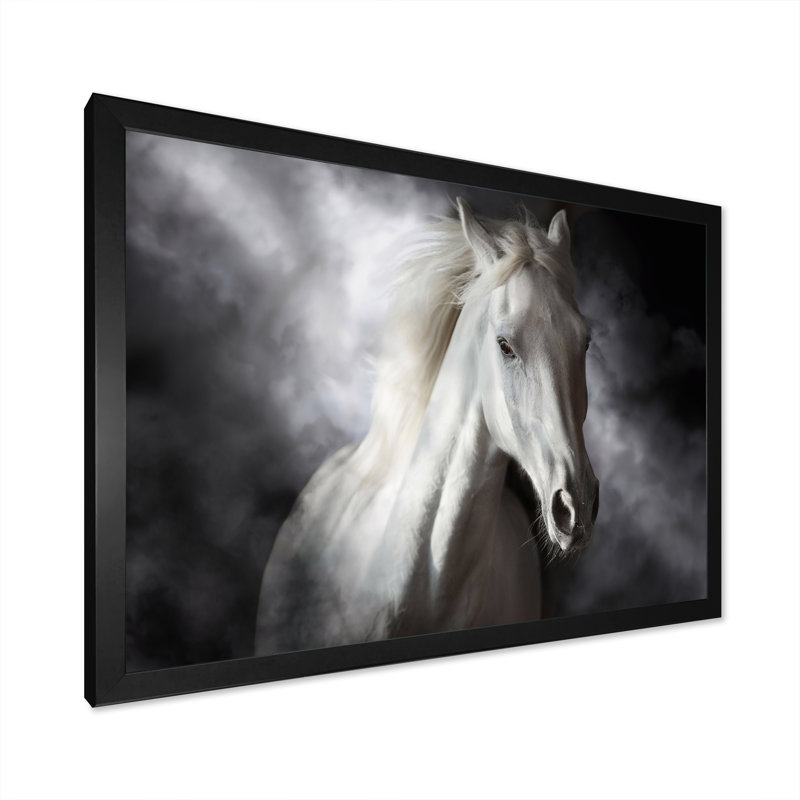 Portrait d'un cheval blanc au galop I - photographie sur toile, H 16 po x l 32 po x P 1 po, Cadre photo noir